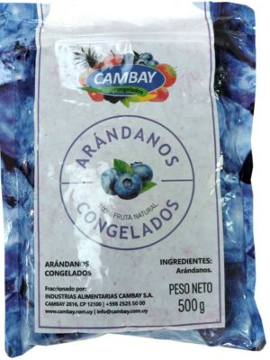 FRUTAS CONGELADA