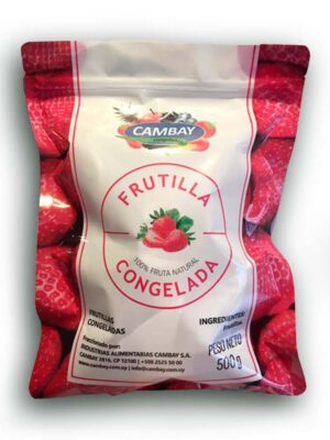 FRUTAS CONGELADA